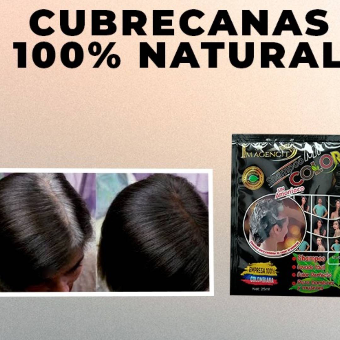 Encabezado