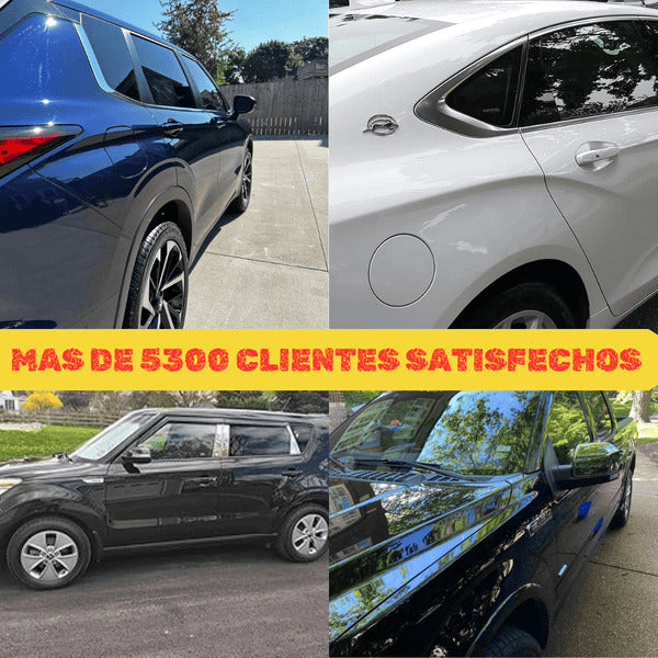 Cera Restauradora Porcelanizadora de pintura Shine Armor Pro®