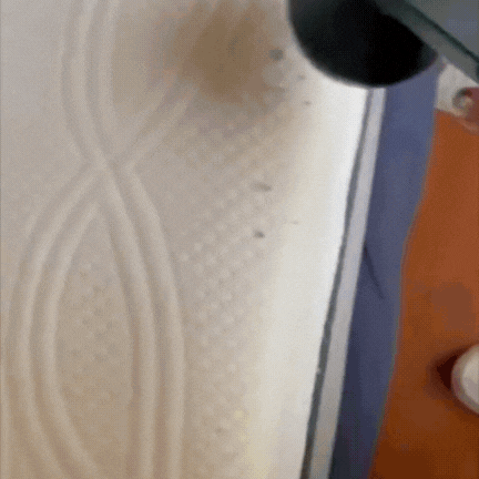 Encabezado