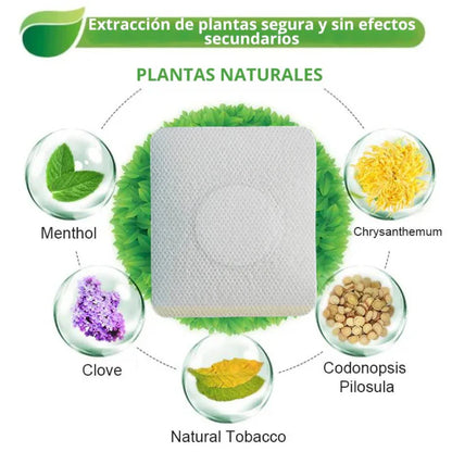 Parches Anti-Tabaco Seurico™ Efecto Inmediato 🔥SOLO POR HOY AL 2x1🔥