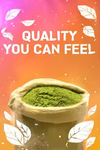 Yerba Mate Magic Capsulas Suplemento Brainista® 🔥¡60% de Descuento!🔥
